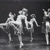 Diana Laurenson