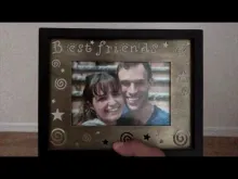 Preview image for the video "lady bug".